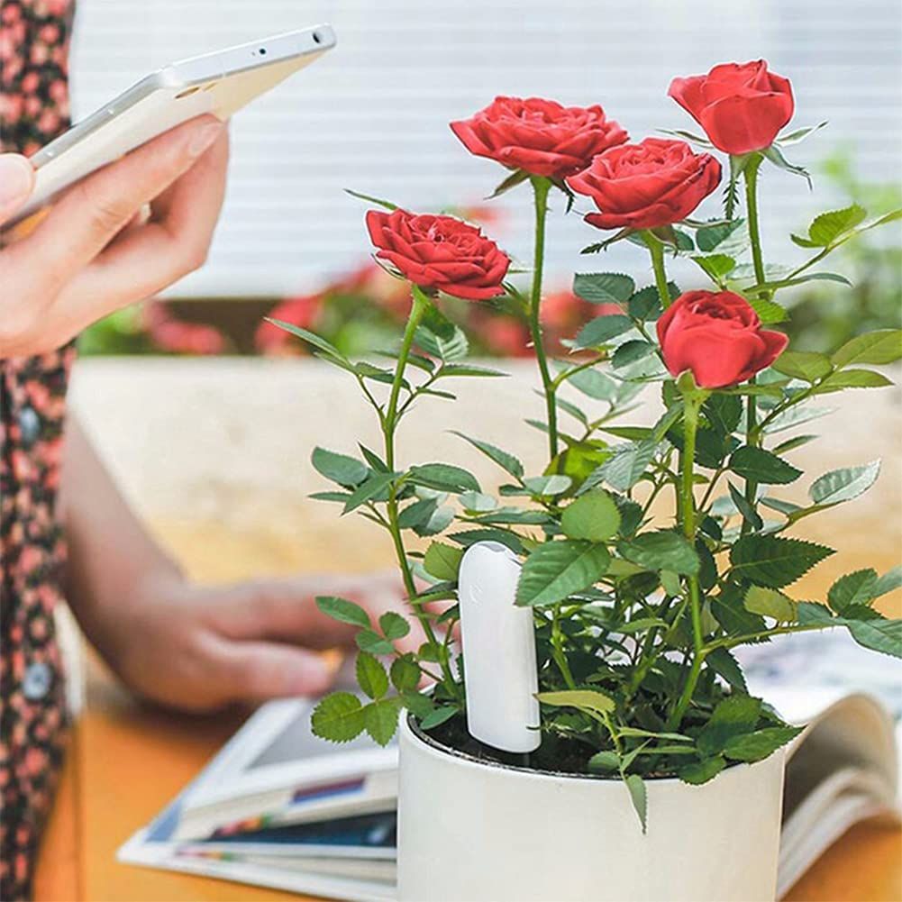 Automatically detect Moisture/Temperature/Light/Fertility,Can Connect to Mobile Phone via Bluetooth,Hygrometer Sensor for Indoor Plants (1pc) - Image 3