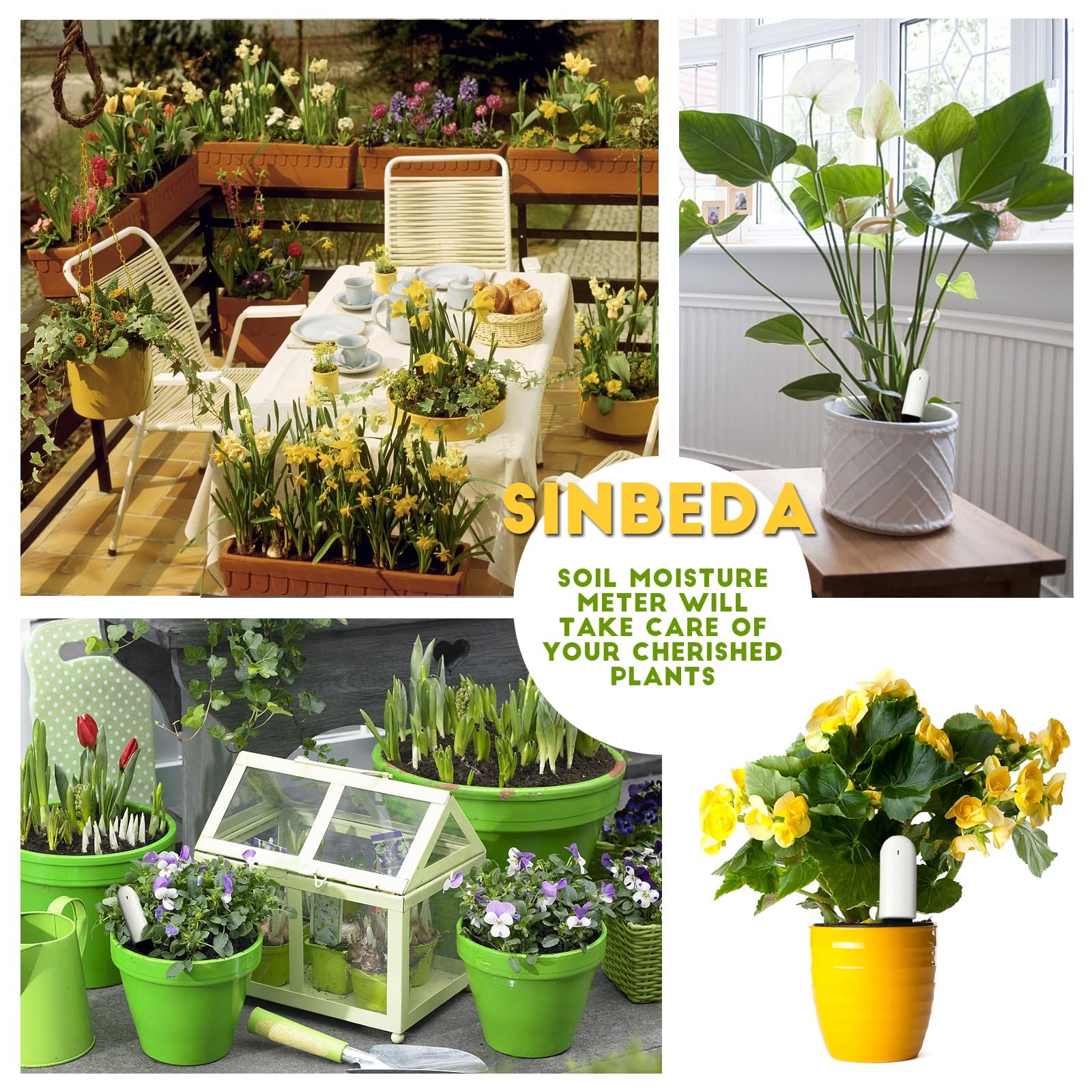 Automatically detect Moisture/Temperature/Light/Fertility,Can Connect to Mobile Phone via Bluetooth,Hygrometer Sensor for Indoor Plants (1pc) - Image 4