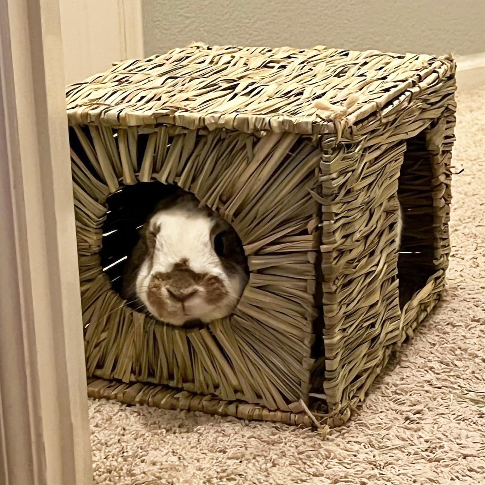 Rabbit Grass House - Natural Hand Woven Seagrass Play Hay Bed, Hideaway Hut Toy for Bunny Hamster Guinea Pig Chinchilla Ferret - Image 3