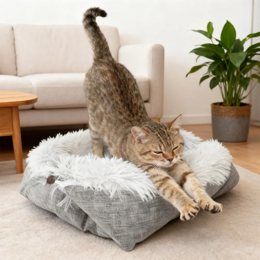 SCENEREAL Self-Warming Cat Bed Mat for Cats Small Dogs, Function 2 in 1 Soft Plush, Washable Pet Mat Autumn Winter Indoor Snooze Sleeping for Kittens Puppy Dog（M） - Image 2