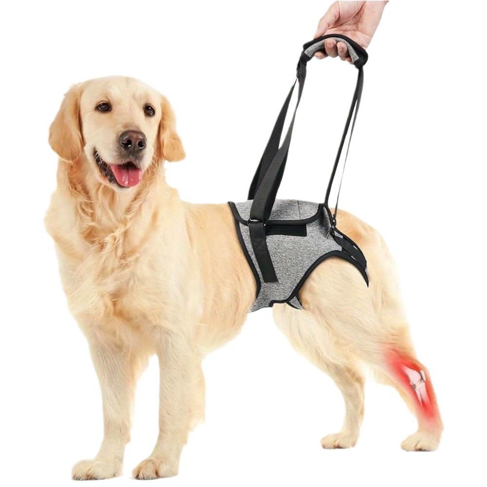 Dog Lift Harness, Dog Sling for Medium Large Dogs, Adjustable Dog Support Harness for Back Legs, Comfy Design Pet Harness with Padded for Elderly, Injured, Arthritic, Senior, Disabled Dogs（L） - Image 2
