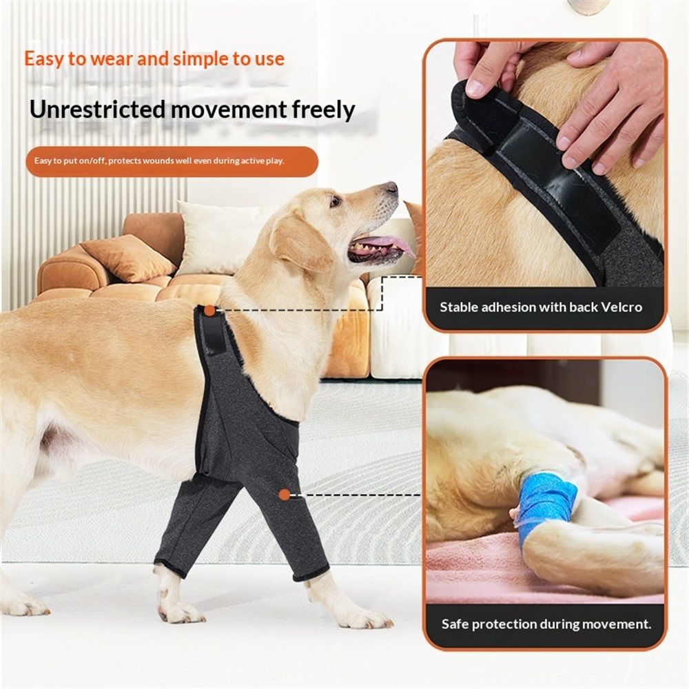 Dog Recovery Suit for Front Legs, Dog Recovery Sleeves After Surgery with Elastic Band, Soft Protective Elbow Braces for Medium Large Dogs, Cone Collar Alternative to Stop Licking Leg Wounds,gray,XL - Image 4