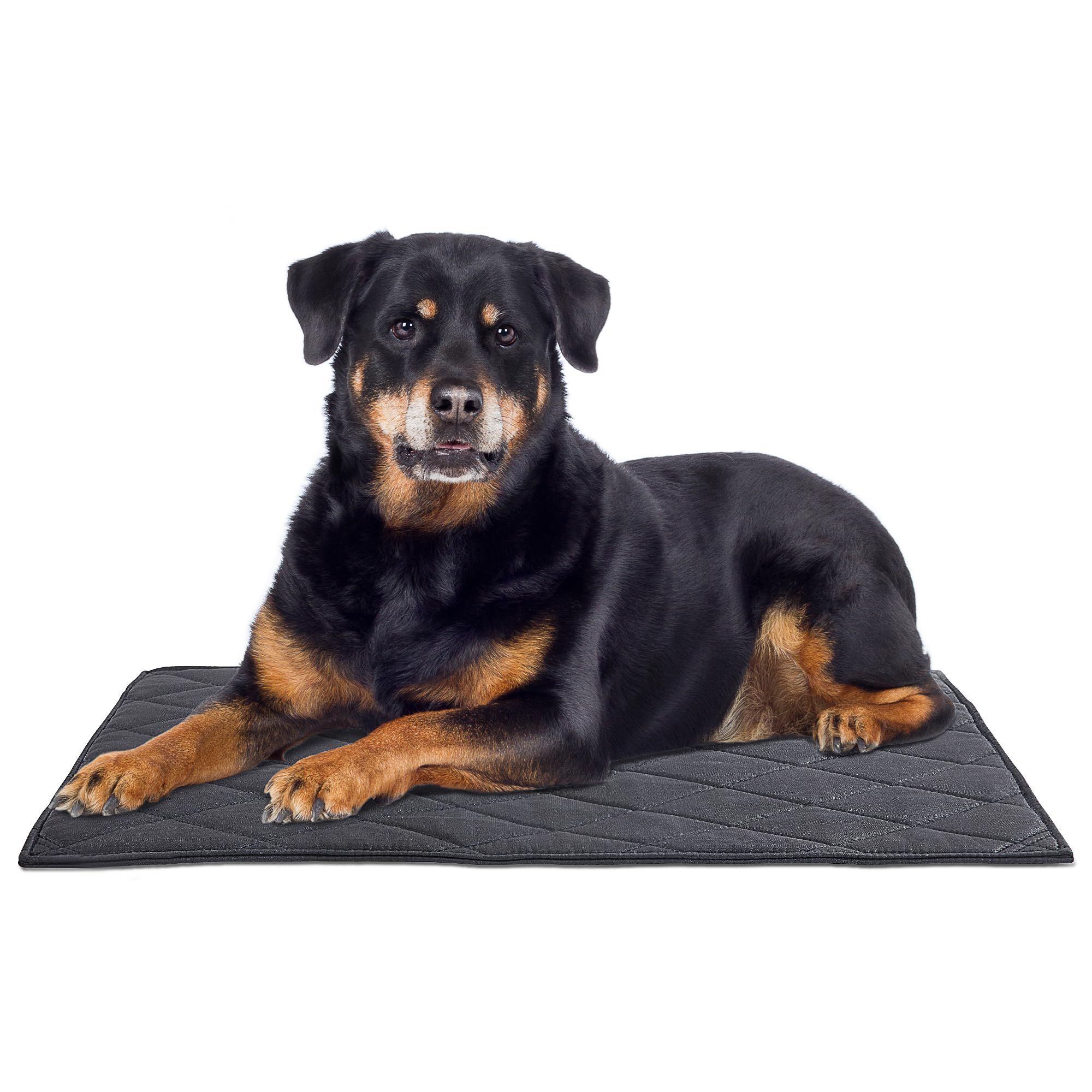 Chew Proof Dog Crate Bed Pad - Indestructible & Water Resistant for Aggressive Chewers, Durable Design for Dog Cage Black 43*58cm - Image 1