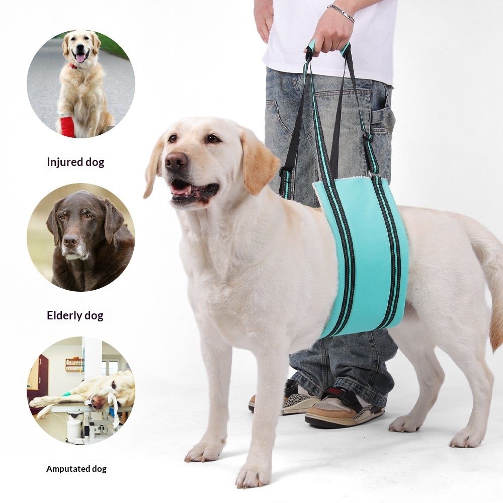 Portable Hip Support Harness Assist Lift Dogs Rear for Canine Aid - Pet Lift Harness for Small, Medium & Large Dogs Hind Leg Support Rehabilitation(Turquoise, S) - Image 2