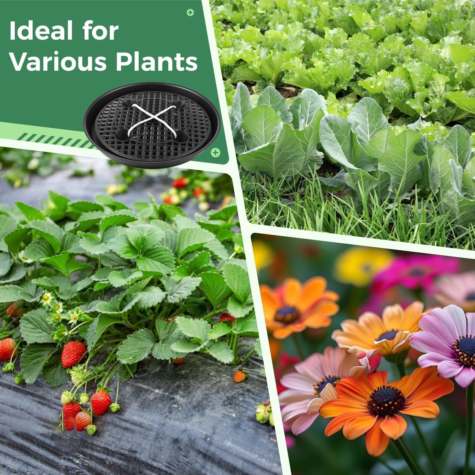 Plastic Plant Saucer Stand,4-Pack 14 inch, Elevated Plant Saucer Self-Watering Fabric Pot Base, Use Nonwoven Grow Bags, Plant Saucers Flower Pot Tray for Indoor-Outdoo and Grow Tents Greenhouses - Image 2