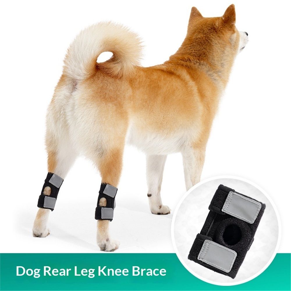 Dog Canine Braces for Rear Legs Supportive with Spring Inserts to Stabilize Dog Hind Legs, Help Dogs with Injuries, Sprains, Arthritis (M Pair) - Image 1