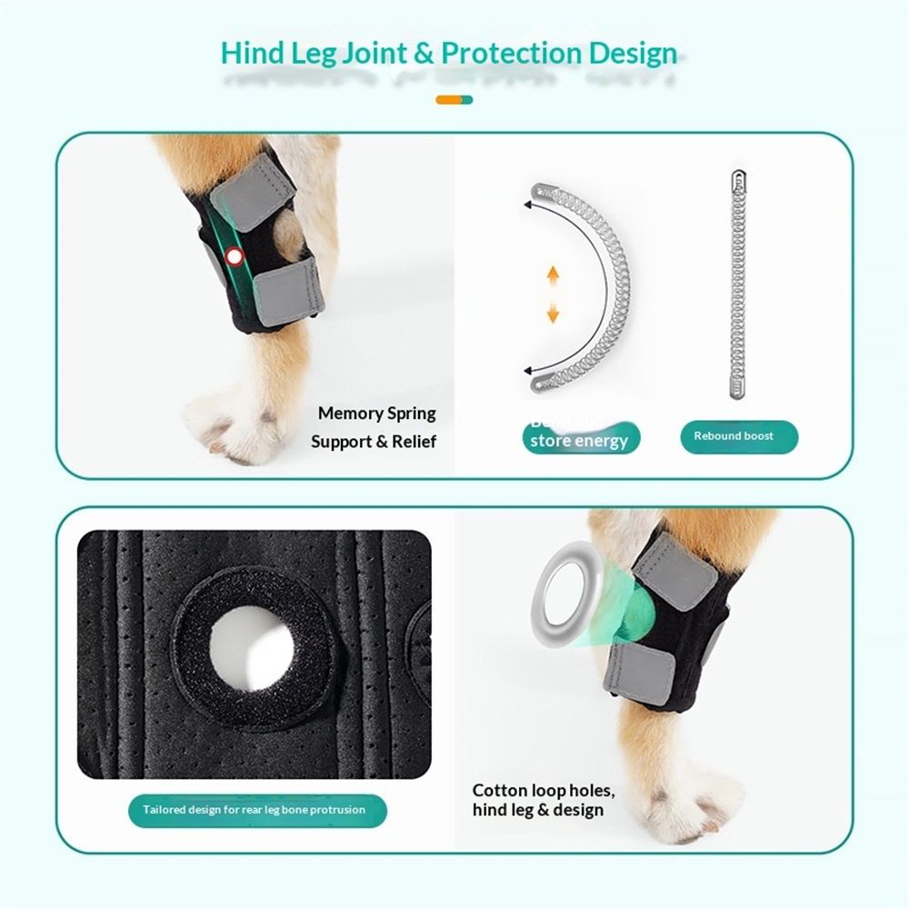 Dog Canine Braces for Rear Legs Supportive with Spring Inserts to Stabilize Dog Hind Legs, Help Dogs with Injuries, Sprains, Arthritis (M Pair) - Image 2
