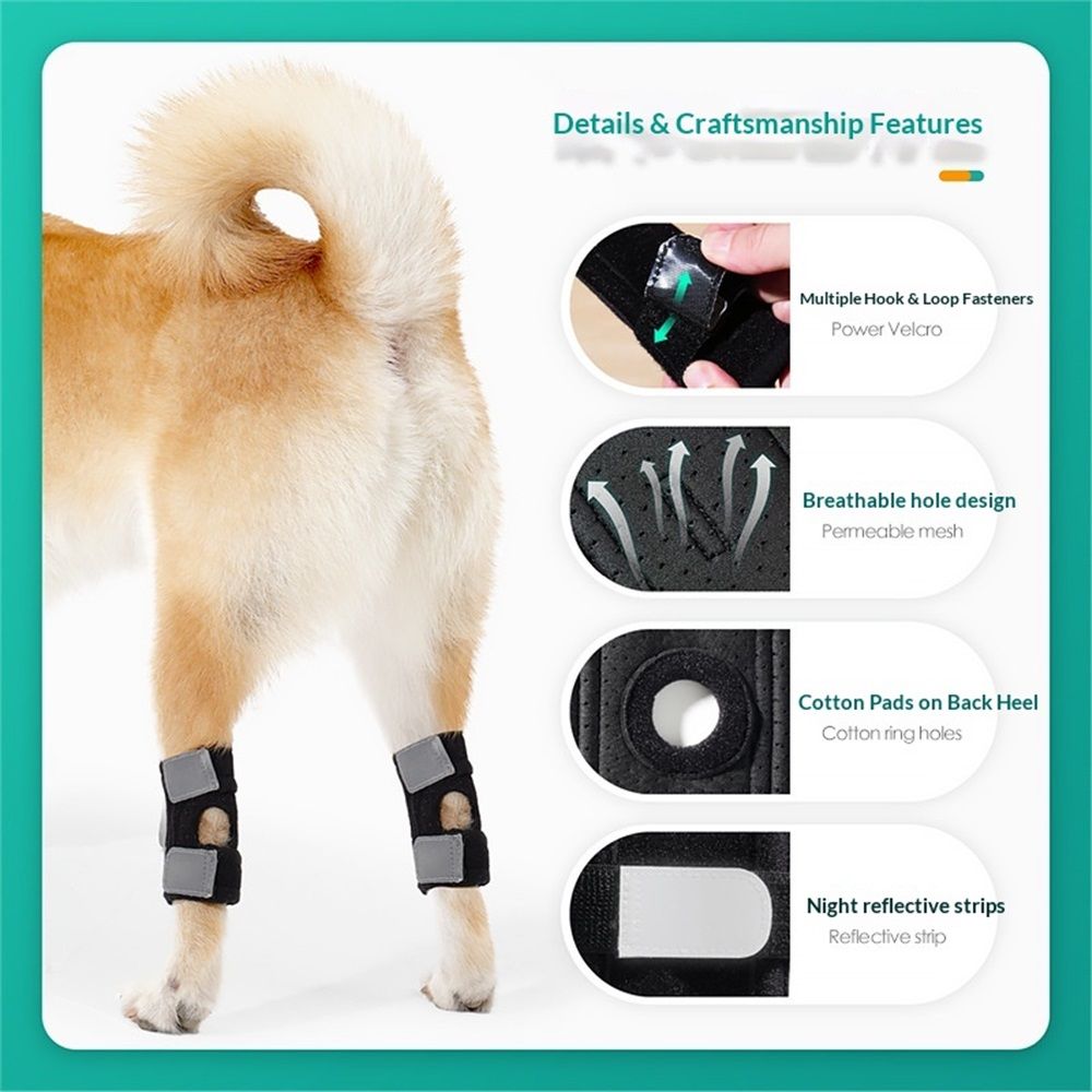 Dog Canine Braces for Rear Legs Supportive with Spring Inserts to Stabilize Dog Hind Legs, Help Dogs with Injuries, Sprains, Arthritis (M Pair) - Image 3