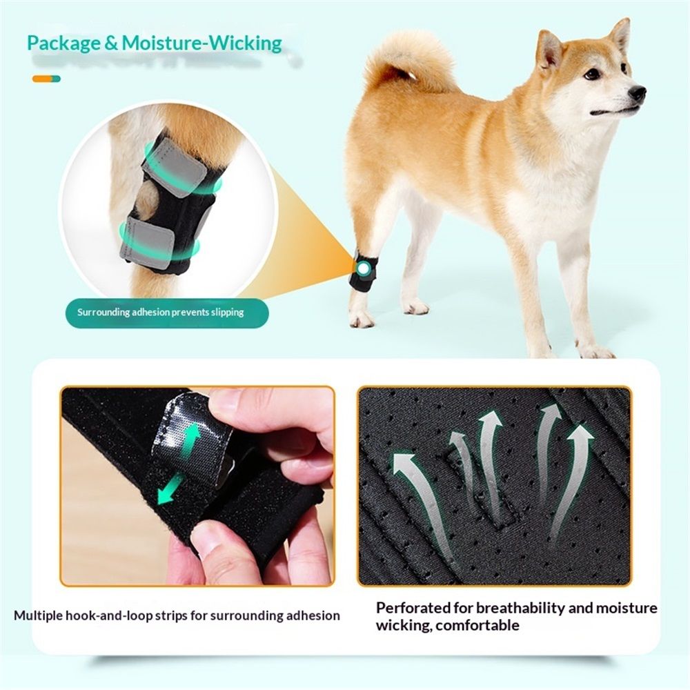 Dog Canine Braces for Rear Legs Supportive with Spring Inserts to Stabilize Dog Hind Legs, Help Dogs with Injuries, Sprains, Arthritis (M Pair) - Image 4