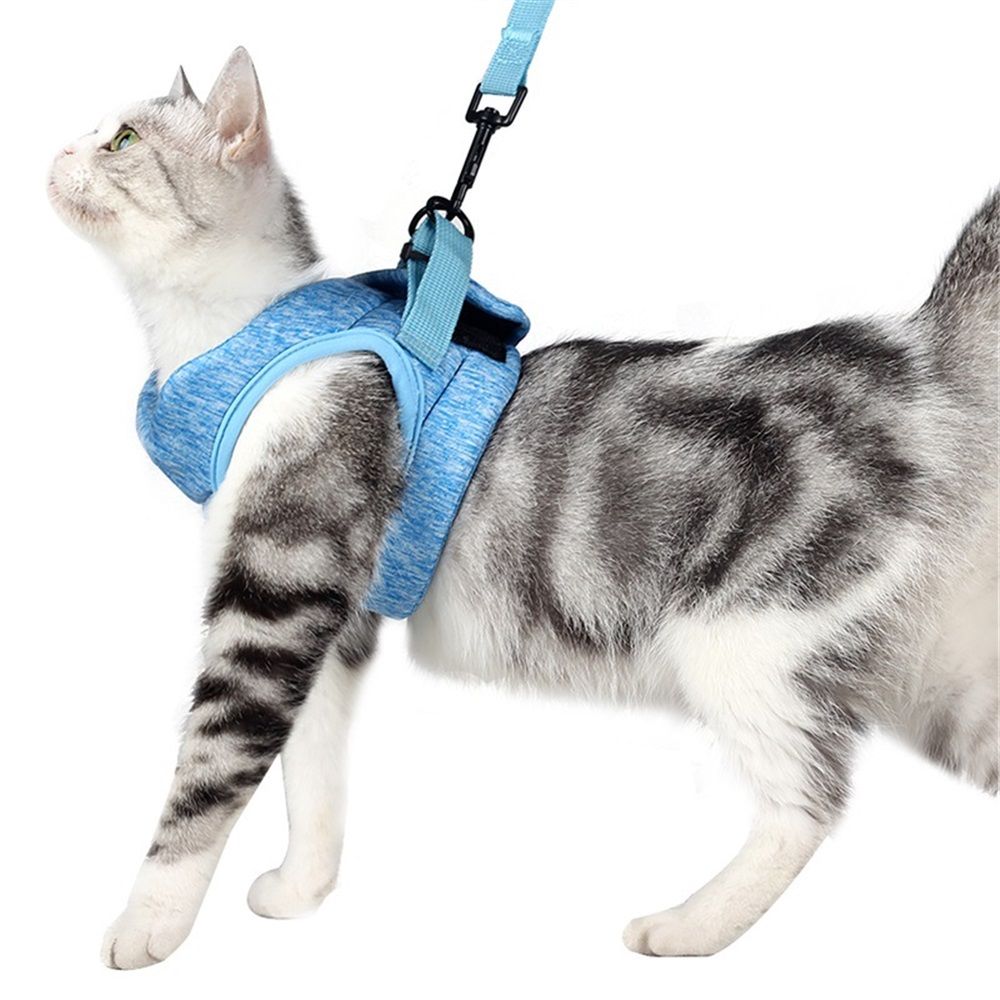 Cat Harness and Set, Cute Escape Proof Vest Harness for Girl&Boy Cat Walking, for Outdoor Kitten (blue，L) - Image 1