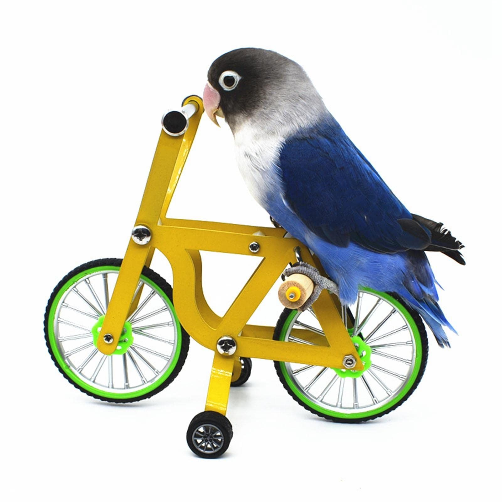 Bird Intelligence Training Toy for Small Medium Birds - Parrot Puzzle Bicycle & Table Top Trick Prop - Foot Talon Toy for African Grey, Cockatoo & Conures（small size） - Image 3