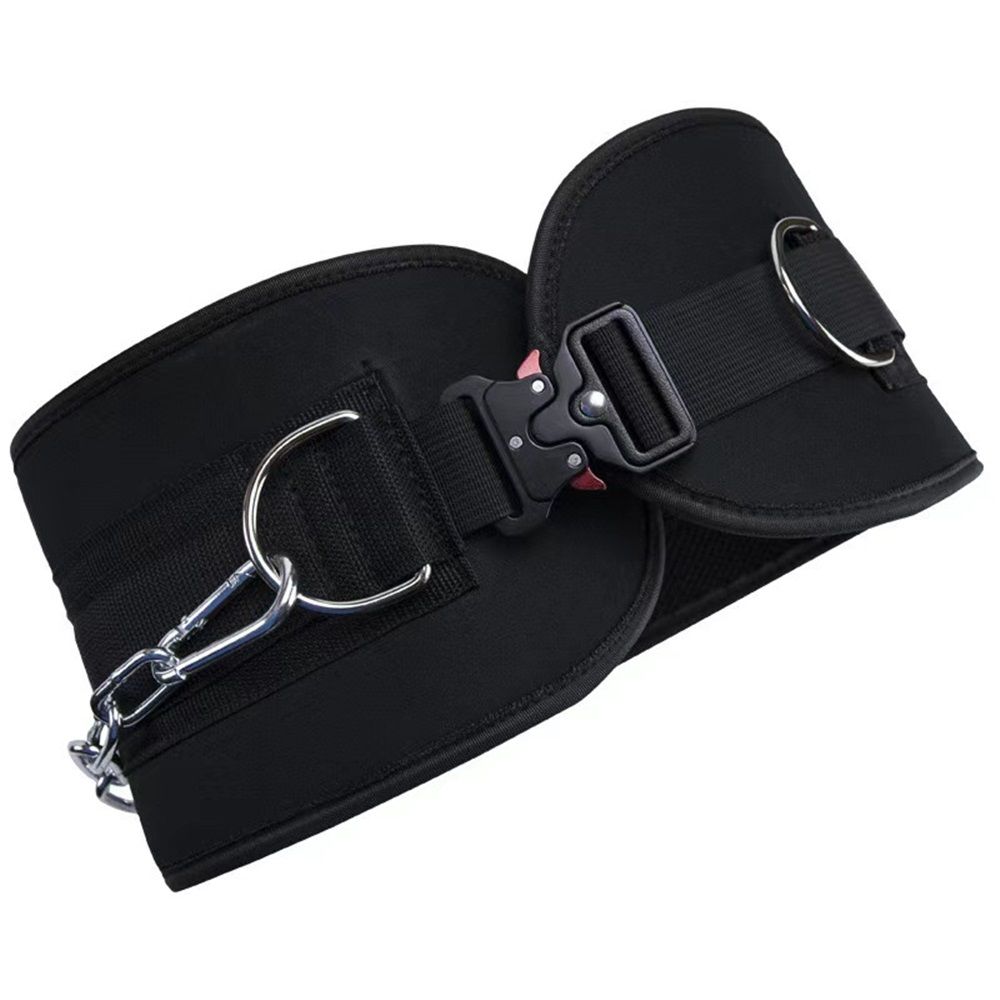 Pull-up Belt Weighted Dip Belt with Chain Double D-ring Weightlifting Back Support Strap Home Gym Equipment Waist Belt - Image 5