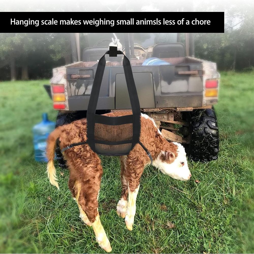 Calf Sling for Weighing Animals - Calf Scale Hanging Weight Scale Sling with Adjustable Straps for Weighing Calves Lambs Goats Baby Alpacas Newborn Livestock Dogs - Image 5