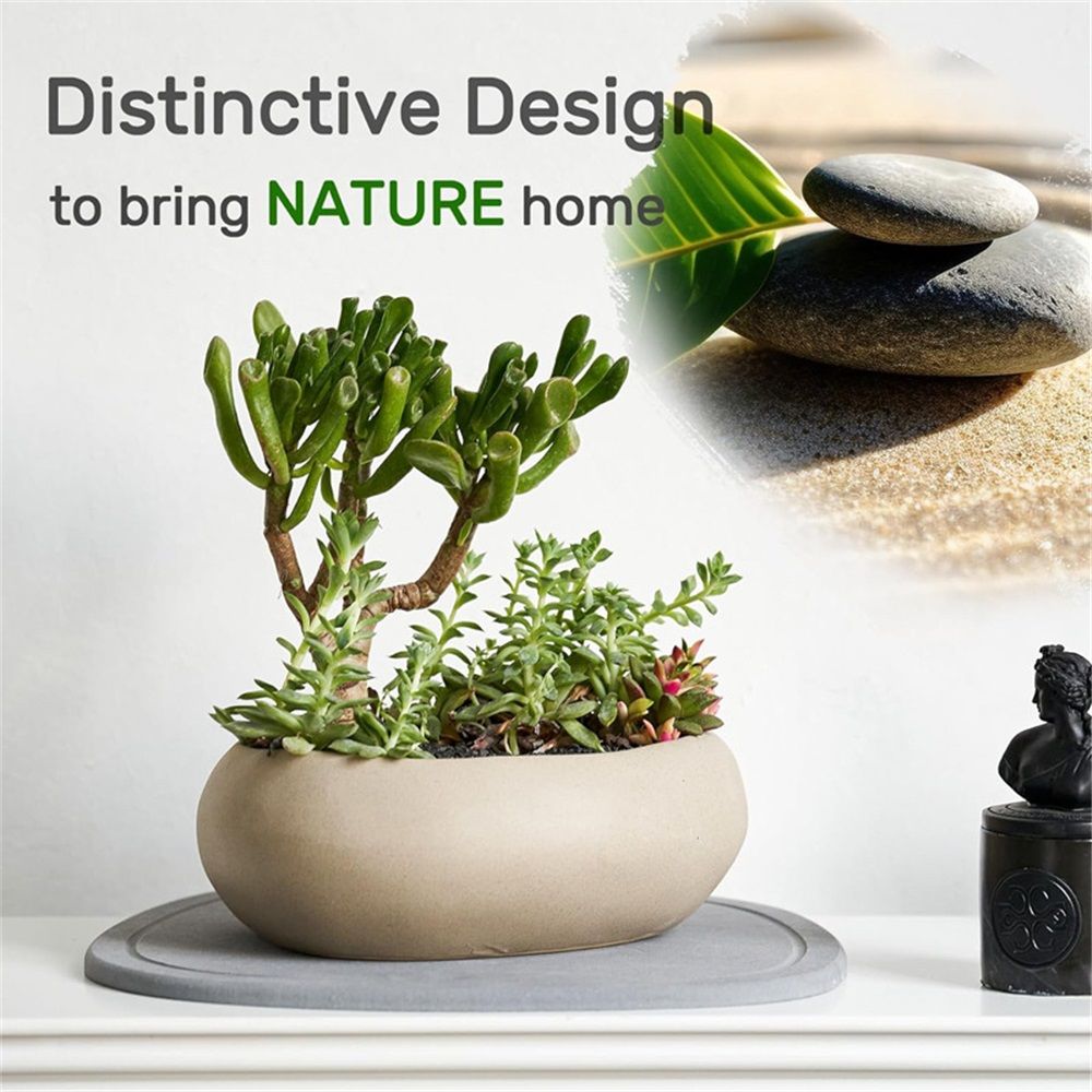 Diatomaceous Earth Plant Saucer for Indoor, 2 Pack Irregular 6.7 Inch 12 Inch, Instant Dry Pot Saucer, Plant Drip & Drainage Tray for Indoor, Stone Gray - Image 5