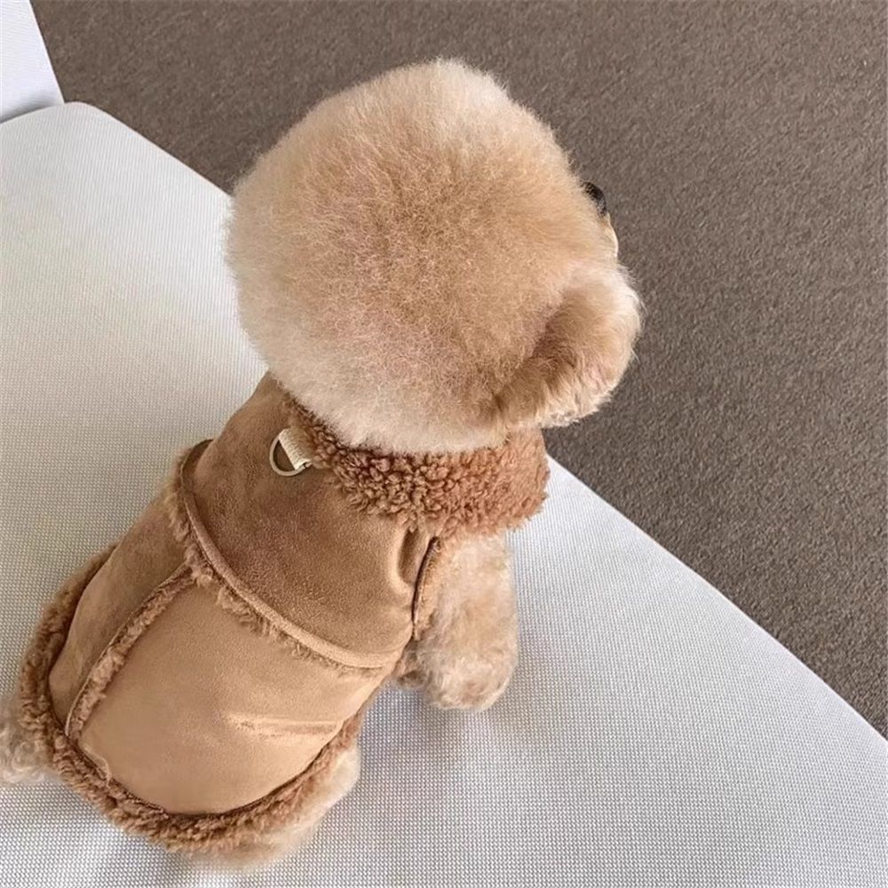 Warm and windproof suede dog clothing, suitable for small and medium-sized dogs, pet motorcycle clothing, Brown,S Excluding rope - Image 4