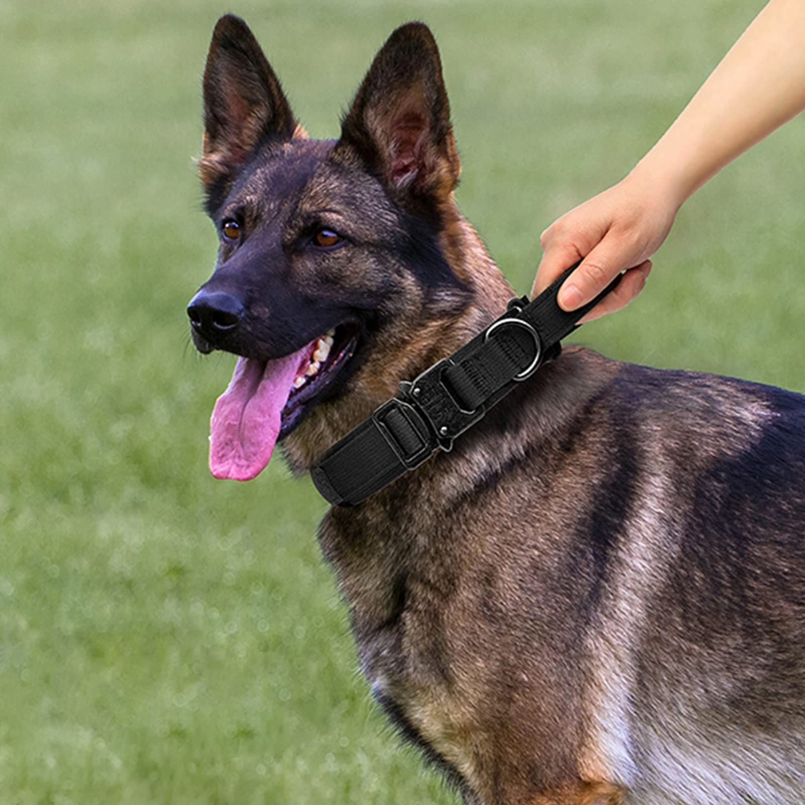 Dog Collar and Leash Set Heavy Duty Military Dog Collar with Handle and Metal Buckle for Medium and Large Dogs (Black, L) - Image 2