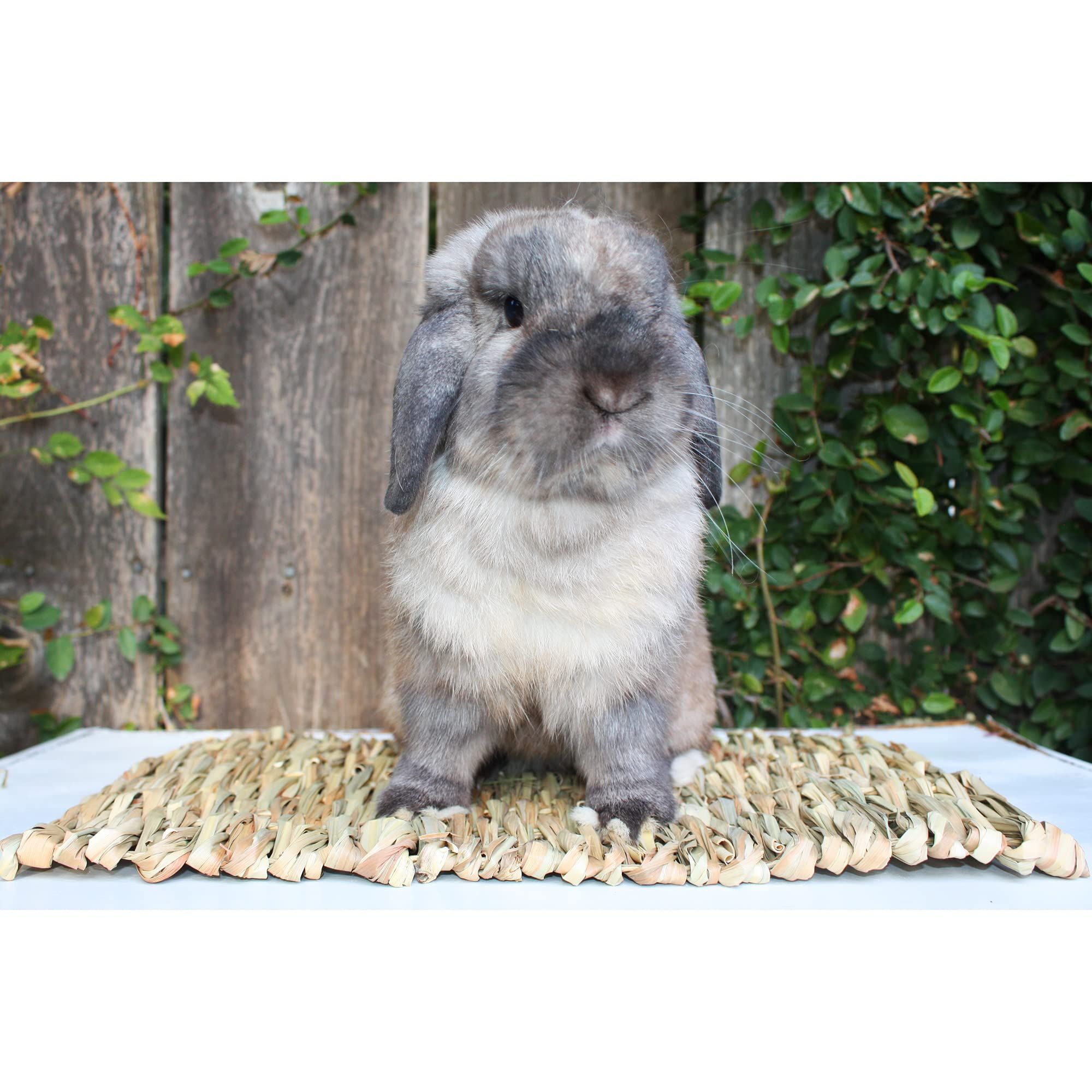 2pcs Woven Grass Mat - All Natural Chewable Grass Mat for Small Pets  Pig Foot Mat Rabbit Grass Nest Pet Supplies（small size） - Image 3