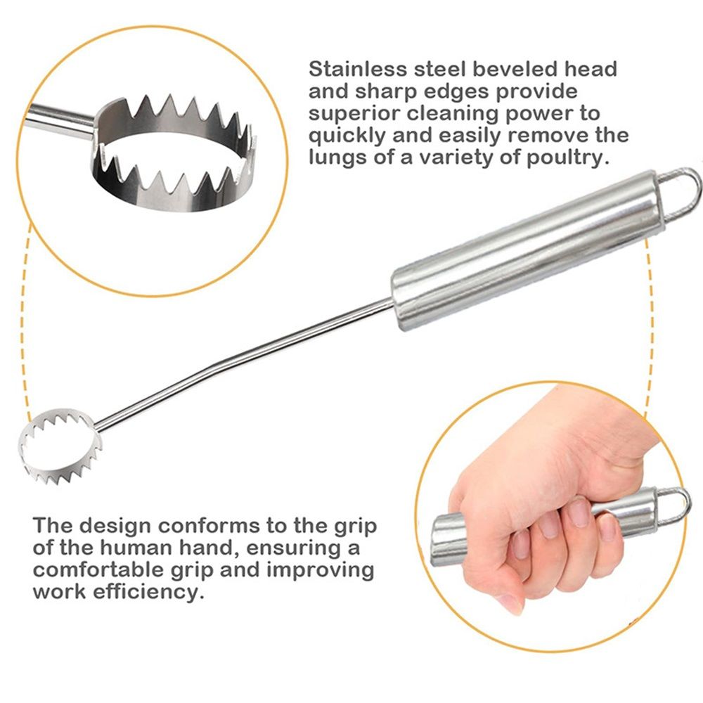 Stainless Steel Lung Remover, Textured Handle, Angled Head, Easy Clean Materials,Lung Scraper of Chicken Processing Equipment, Easily Removes Poultry Lungs,  Handle, Chicken - Image 4