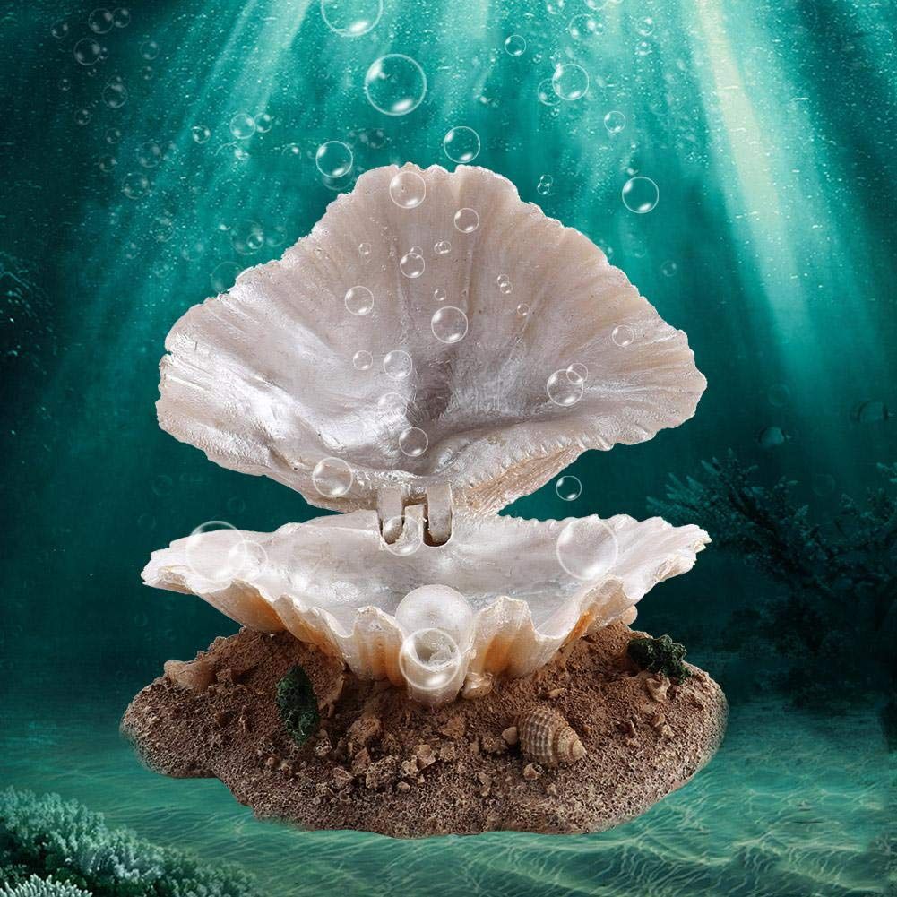 Aquarium Shell Decoration with Air Stone Bubble Tropical Clam Ornament  Aquarium Landscaping Decoration - Image 5