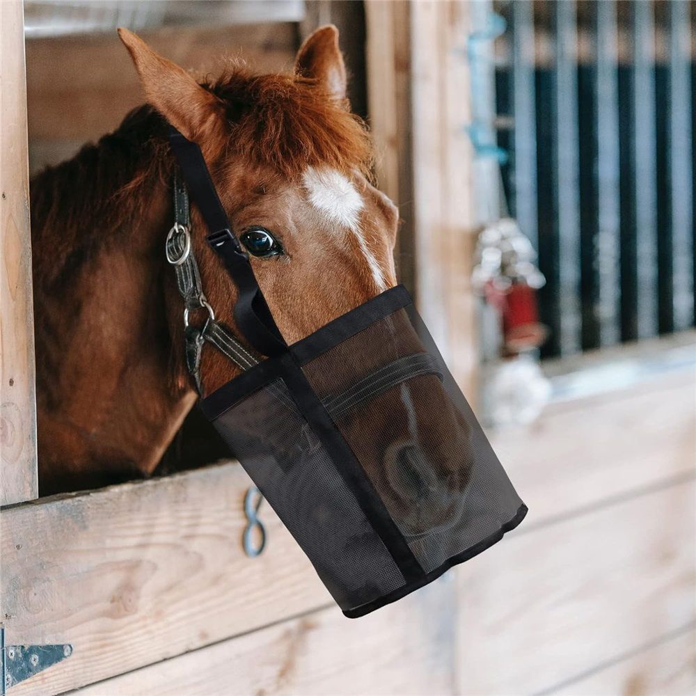 Horse Feed Bag Pack of 2, Feed Bags for Horses with Ventilation Mesh, Comfort Nose Pad Neck Pad, Adjustable Strap, Spill Proof Design for Independent Feeding Grain (M) - Image 1