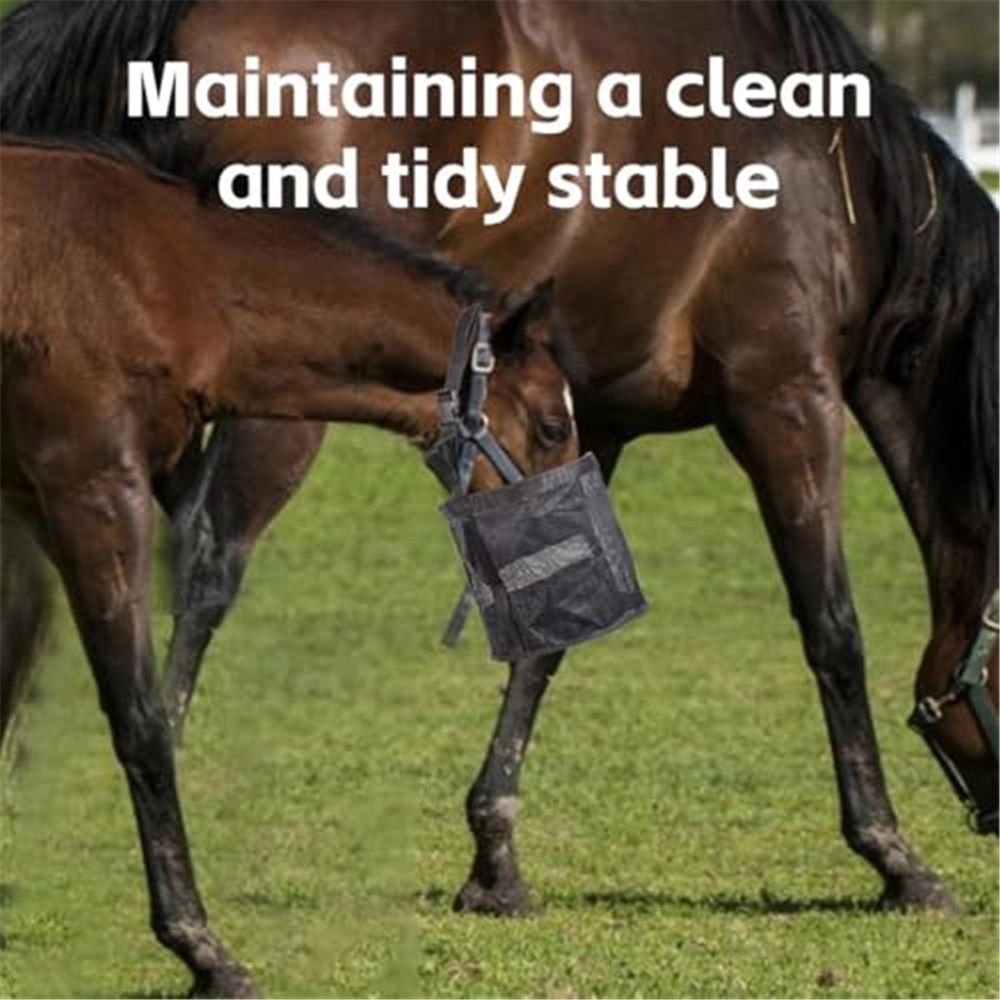 Horse Feed Bag Pack of 2, Feed Bags for Horses with Ventilation Mesh, Comfort Nose Pad Neck Pad, Adjustable Strap, Spill Proof Design for Independent Feeding Grain (M) - Image 5