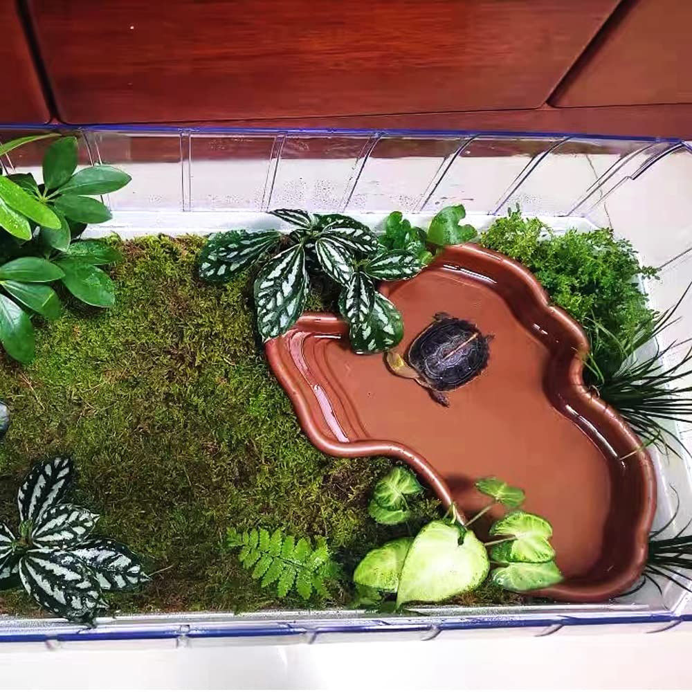 Extra Large Reptile Bathing Pool Reptile Feeding Dish Water Bowl with Ramp Aquarium Ornament for Gecko, Snake, Turtle, Bearded Dragon, Lizard Bath (Brown) - Image 2
