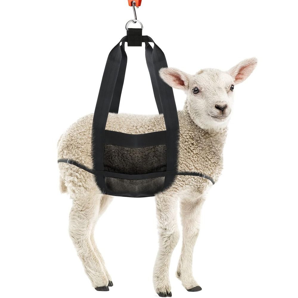 Calf Sling for Weighing Animals - Calf Scale Hanging Weight Scale Sling with Adjustable Straps for Weighing Calves Lambs Goats Baby Alpacas Newborn Livestock Dogs - Image 1