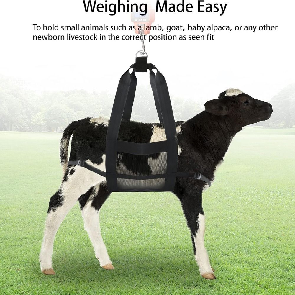 Calf Sling for Weighing Animals - Calf Scale Hanging Weight Scale Sling with Adjustable Straps for Weighing Calves Lambs Goats Baby Alpacas Newborn Livestock Dogs - Image 2
