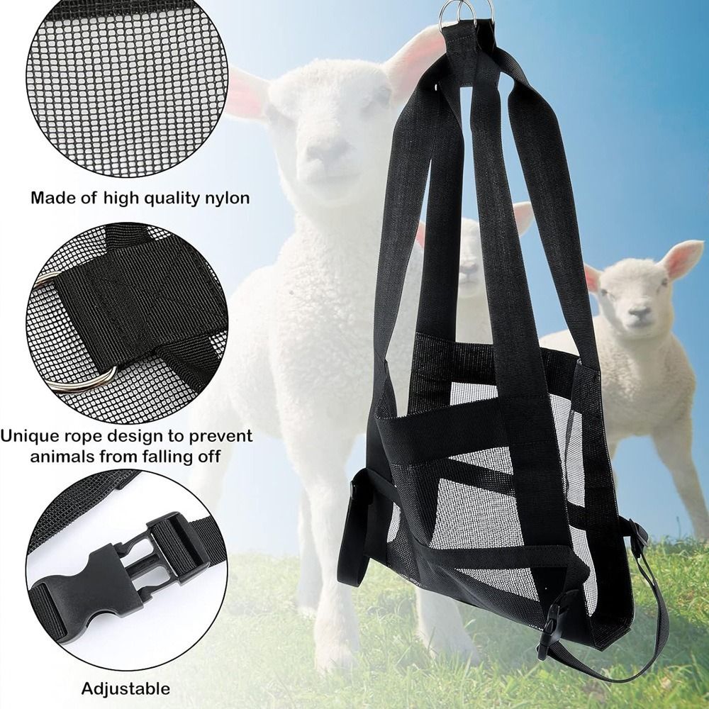 Calf Sling for Weighing Animals - Calf Scale Hanging Weight Scale Sling with Adjustable Straps for Weighing Calves Lambs Goats Baby Alpacas Newborn Livestock Dogs - Image 4