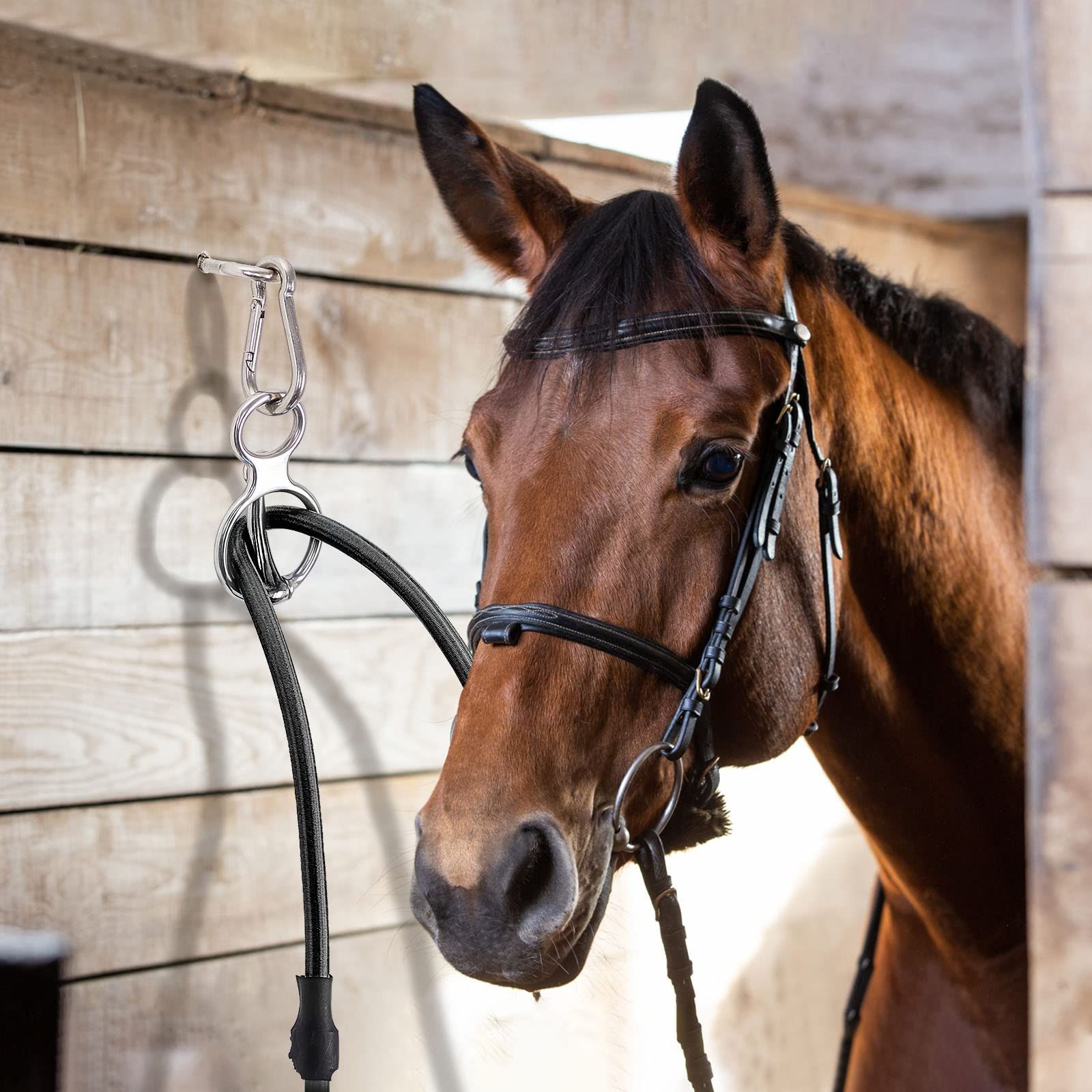 2 Sets Horse Tie Ring, Horse Tack and Supplies Horse Training Equipment Safe Horse Accessories with Eye Bolt, Tie Rings (Silver) - Image 4