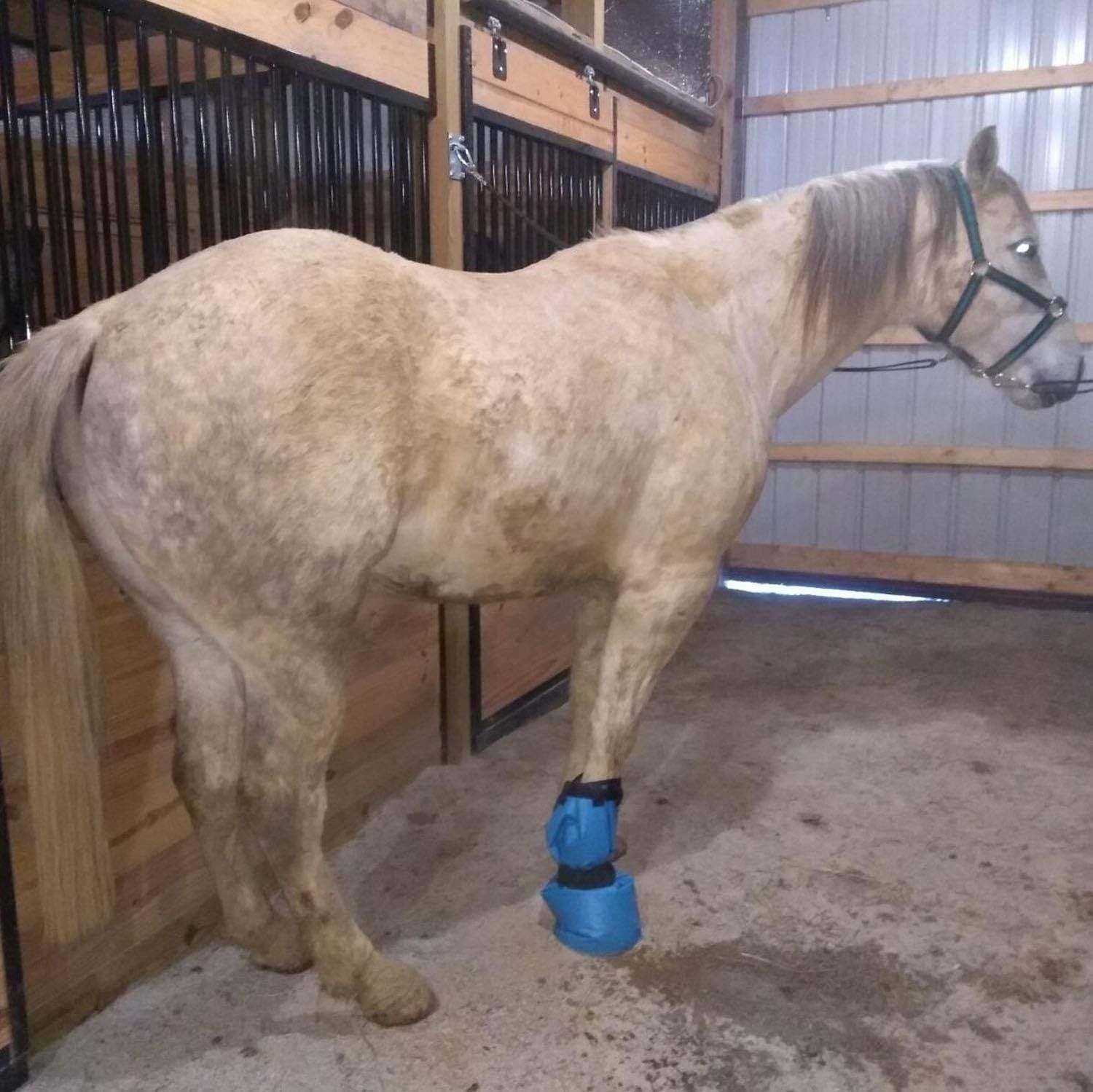 Easy Use Hoof Soaking Boot for Horse Soaker Bag Equine Soaking Boot Hooves Care Treatment Bucket Soaker Sack 3 Elastic Bands（32*4） - Image 4