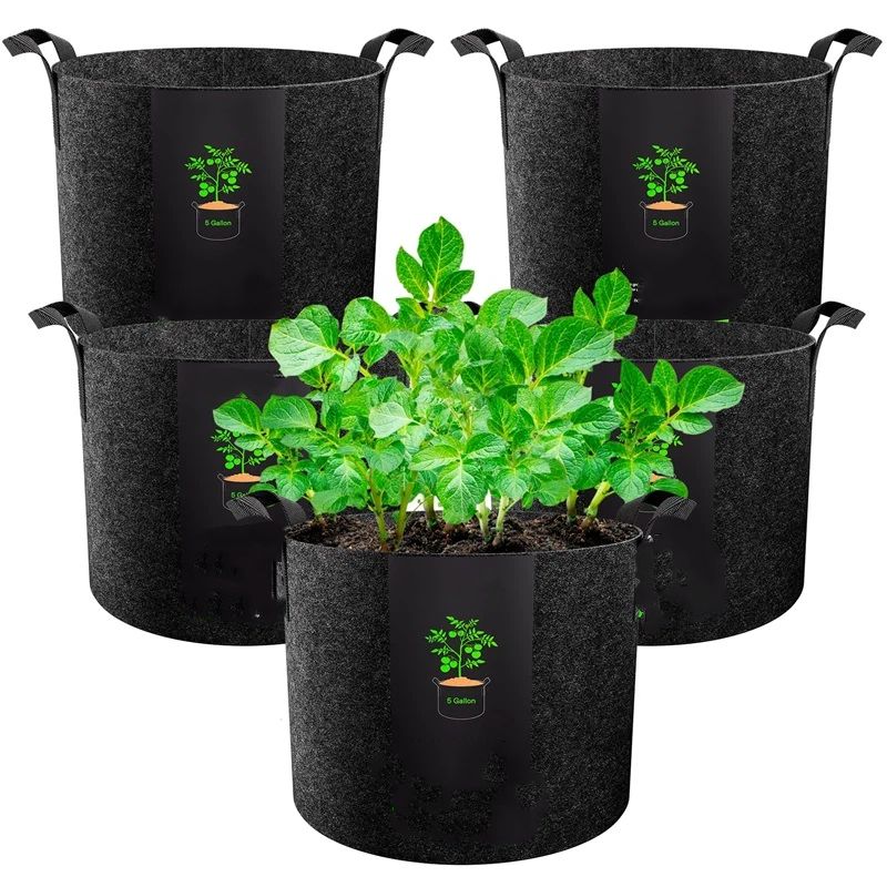 5-Pack 5 Gallons Grow Bags - Heavy Duty 300g Thickened Aeration Nonwoven Fabric Pots with Handles - Ideal Cloth Pots for Plants - Planters Accessories(30*25cm） - Image 1