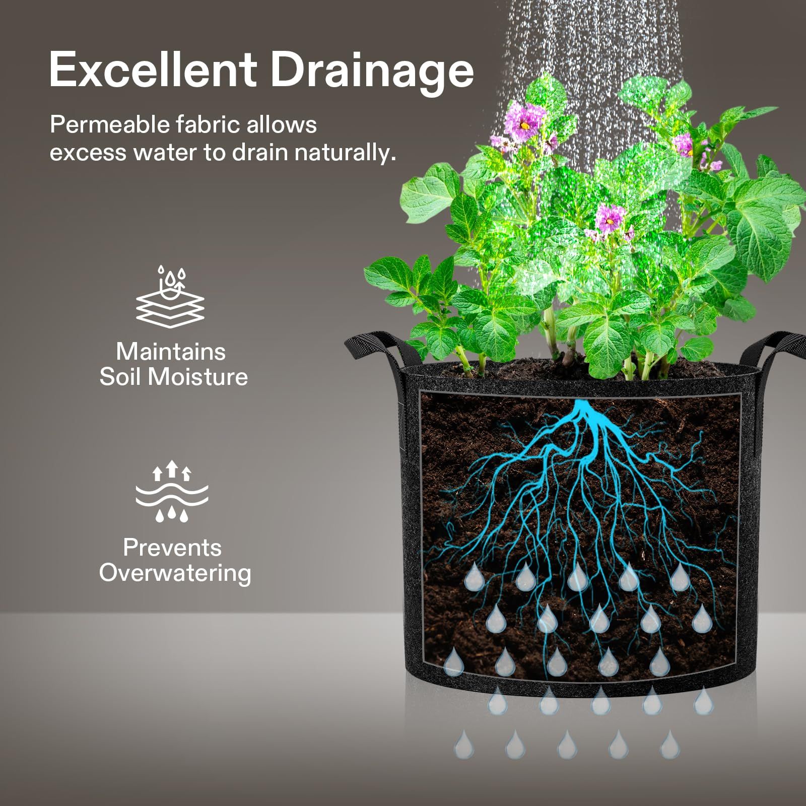 5-Pack 5 Gallons Grow Bags - Heavy Duty 300g Thickened Aeration Nonwoven Fabric Pots with Handles - Ideal Cloth Pots for Plants - Planters Accessories(30*25cm） - Image 2