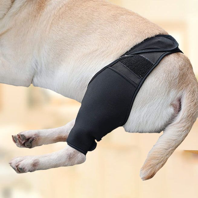 Dog Recovery Socks - Waterproof Paw Protectors with Non-Slip Sole | Post-Surgery Boots for Wound Protection | Anti-Licking Sleeves for Dogs (Black, L) - Image 2