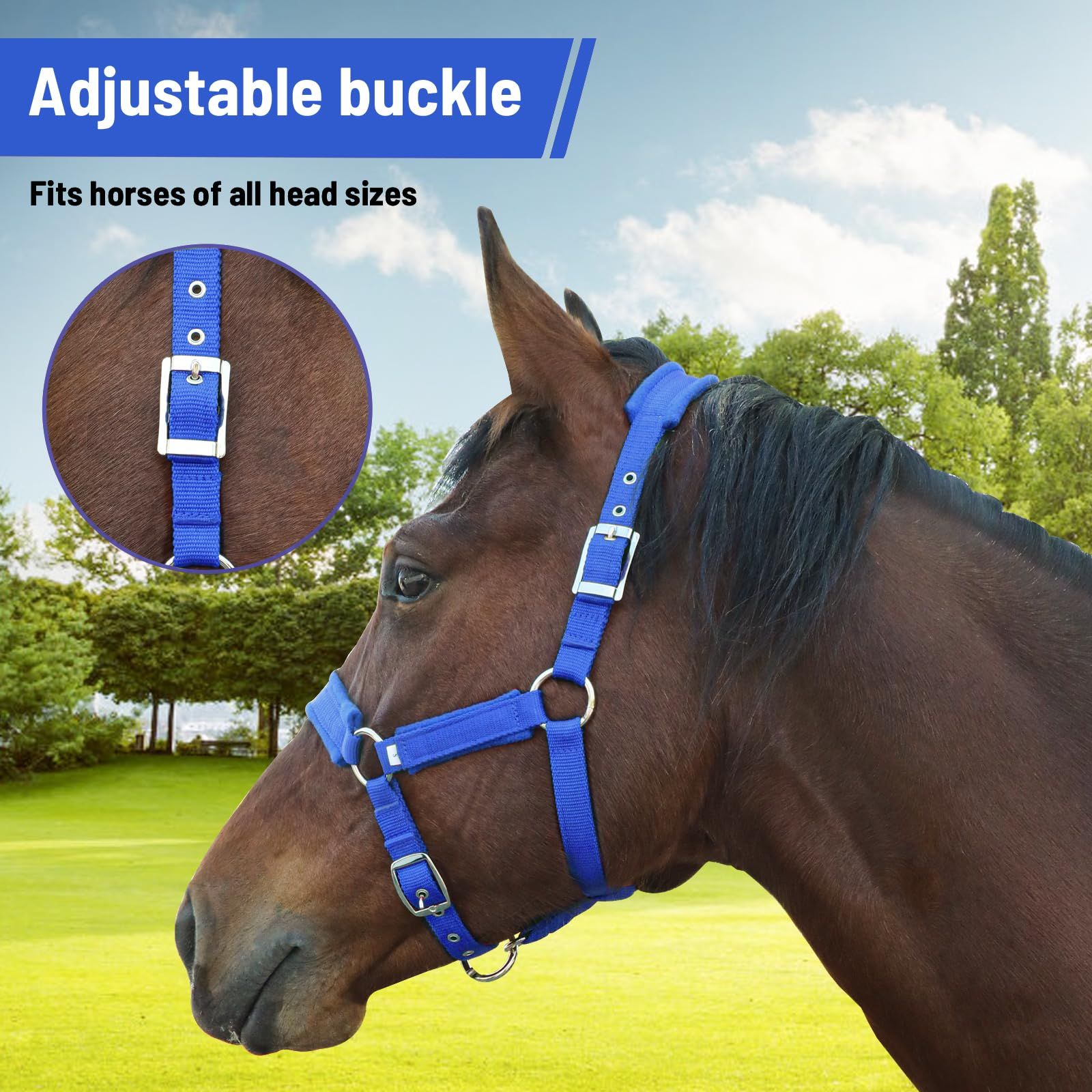 Adjustable Cow Halter with Lead Rope - All-Purpose Livestock Halter for Cattle, Calf, Donkey, Goat, and Miniature Horse (Blue,large size) - Image 2