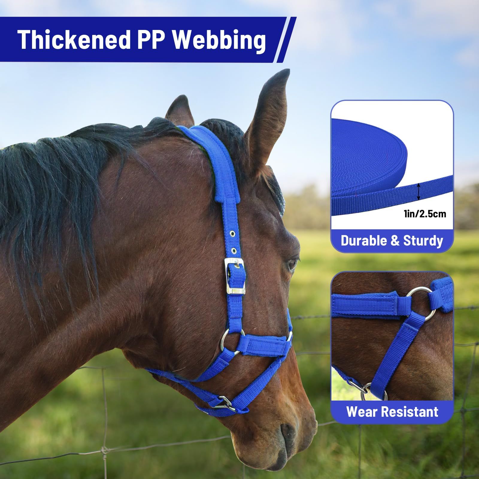 Adjustable Cow Halter with Lead Rope - All-Purpose Livestock Halter for Cattle, Calf, Donkey, Goat, and Miniature Horse (Blue,large size) - Image 3