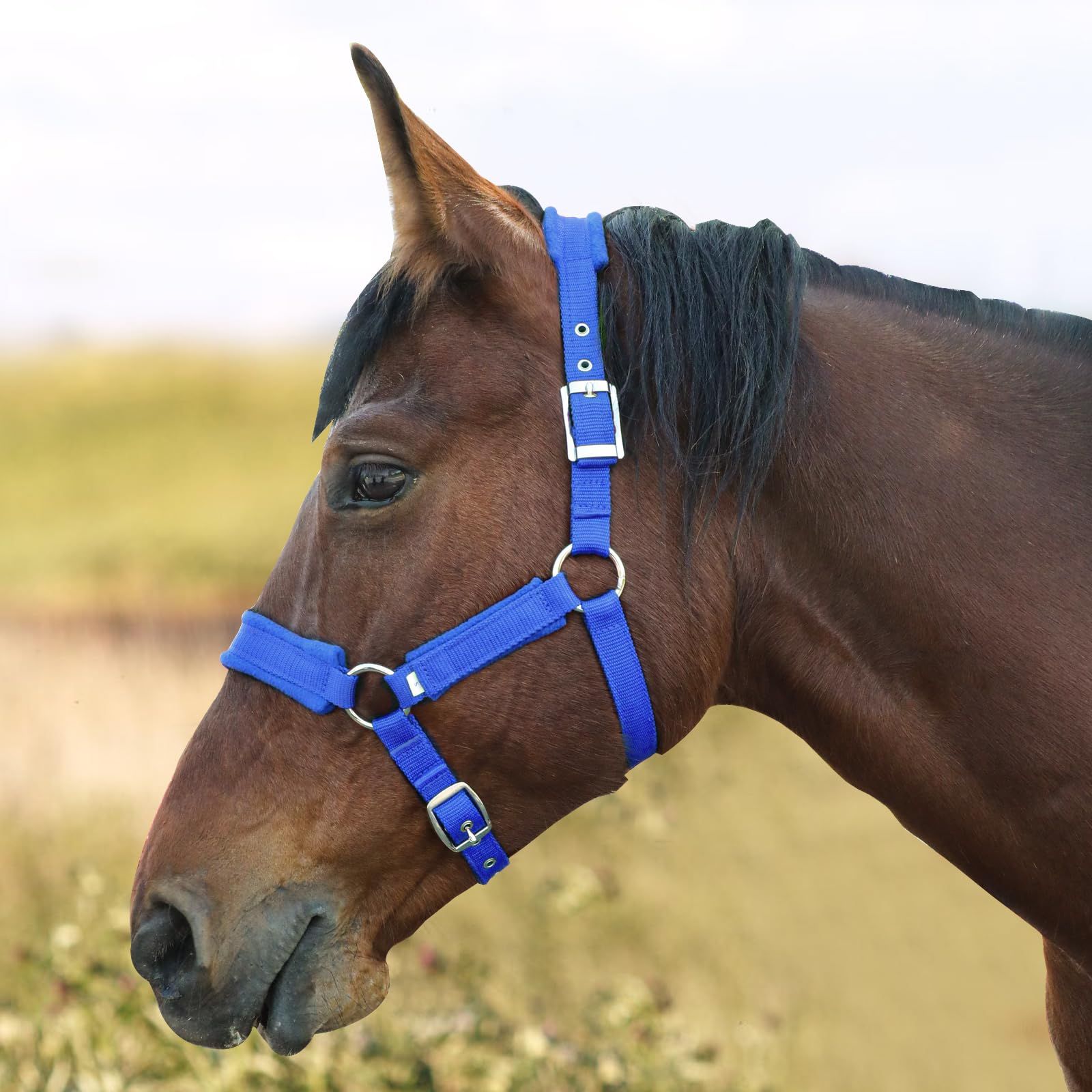 Adjustable Cow Halter with Lead Rope - All-Purpose Livestock Halter for Cattle, Calf, Donkey, Goat, and Miniature Horse (Blue,large size) - Image 4