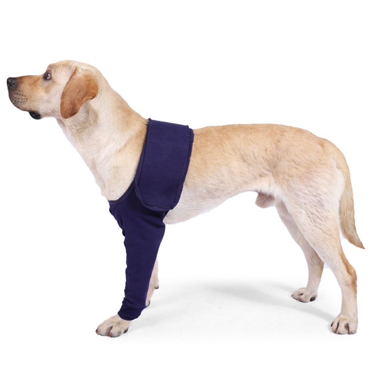 Dog Sleeves for Licking Dog Knee Brace After Surgery Wear for Dogs Abrasion Resistant Dog Recovery Sleeve for Dogs Cone Collar Alternative(XL) - Image 1