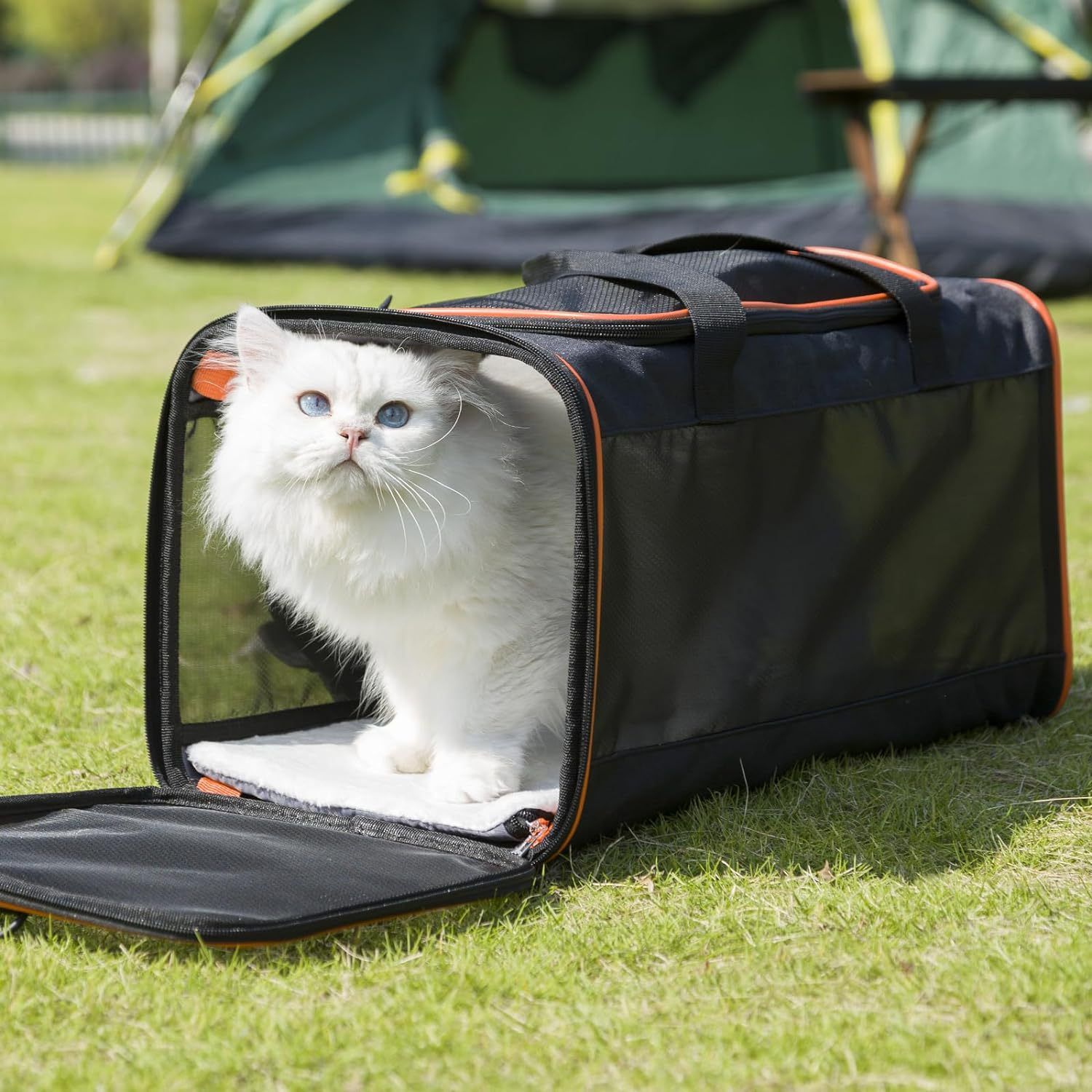 Cat Carriers for Large Cats 20 lbs+ Soft Pet Carrier for Small Dog/Durable 2 Kitty Travel Bag/Medium Big Cats Puppy 15 Pounds/Softside Cat Carrier Large(oniy bag) - Image 3
