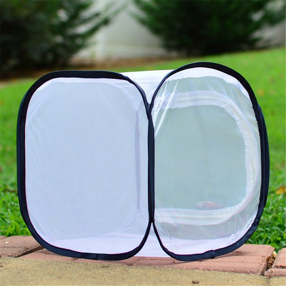 Butterfly Habitat,Outdoor Foldable Butterfly Cage Habitat Fine Mesh Stops - Mesh Panels for Air - Clear Window Panel for Easy Viewing - Image 2
