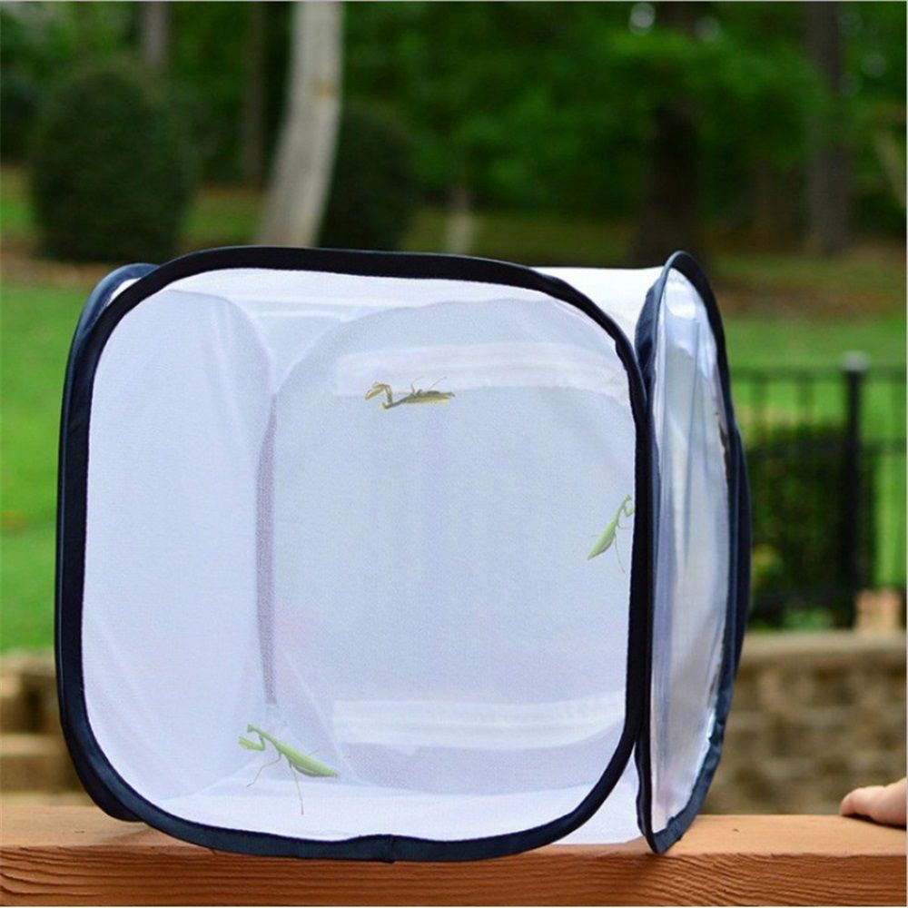Butterfly Habitat,Outdoor Foldable Butterfly Cage Habitat Fine Mesh Stops - Mesh Panels for Air - Clear Window Panel for Easy Viewing - Image 3