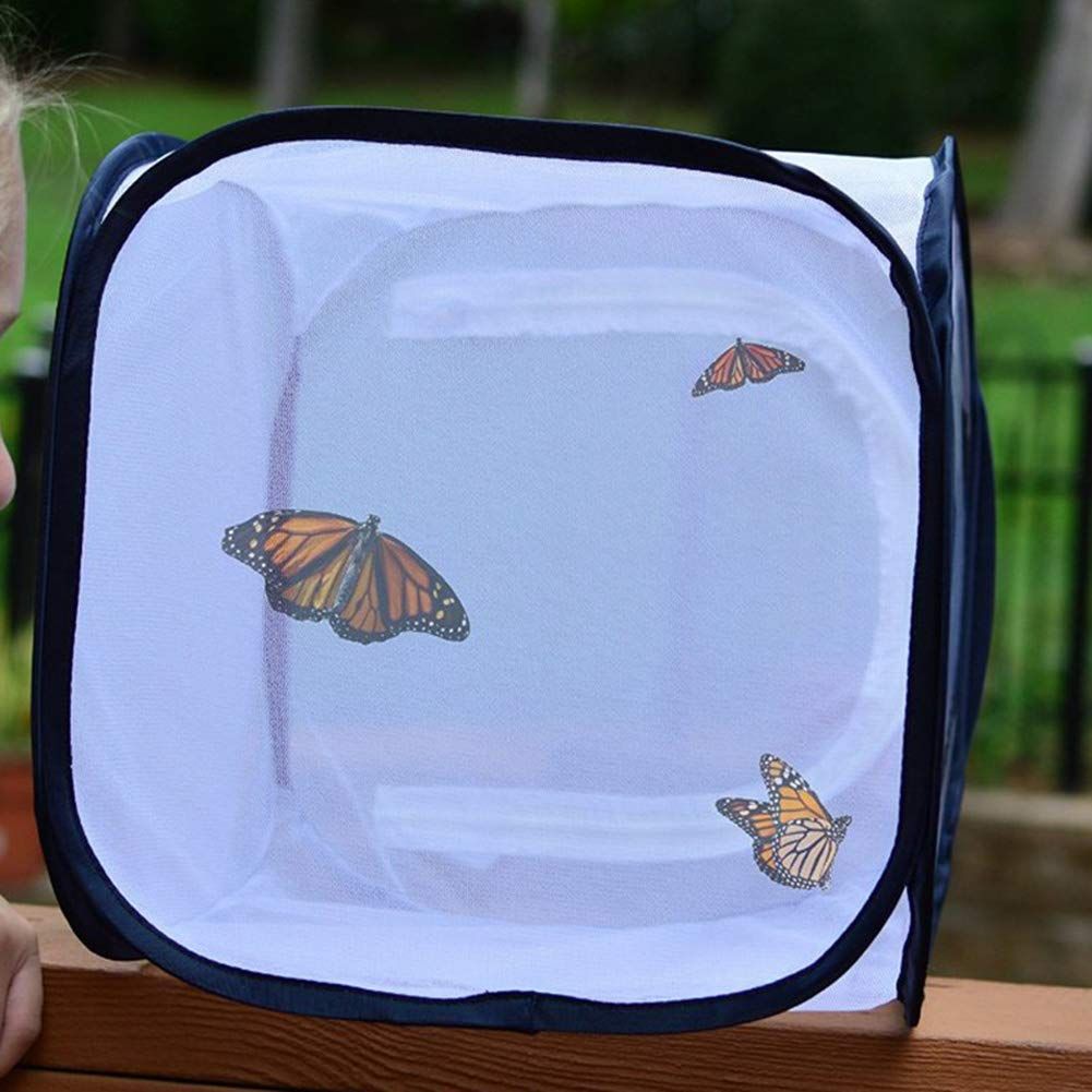 Butterfly Habitat,Outdoor Foldable Butterfly Cage Habitat Fine Mesh Stops - Mesh Panels for Air - Clear Window Panel for Easy Viewing - Image 4