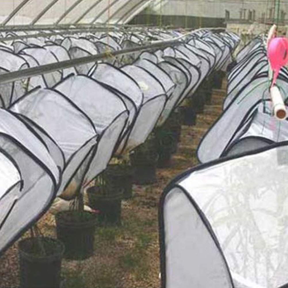 Butterfly Habitat,Outdoor Foldable Butterfly Cage Habitat Fine Mesh Stops - Mesh Panels for Air - Clear Window Panel for Easy Viewing - Image 5