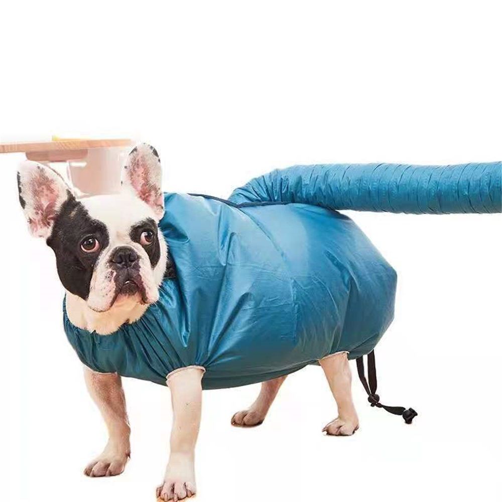 Pet Dog Dryer, Protable Fast Easy Blower Professional Tool Hair Pet Low Noise Puff and Fluff Bath Grooming - L - Image 1