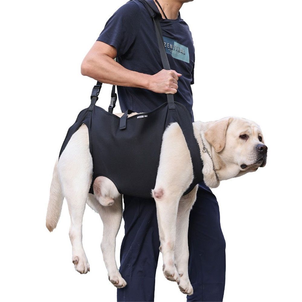 Full Body Lift Harness for Dogs,Canine Support Rehabilitation Dog Carrier Slings with Handles,Adjustable Lifting Straps Full Body Dog Lifting Harness (M) - Image 2