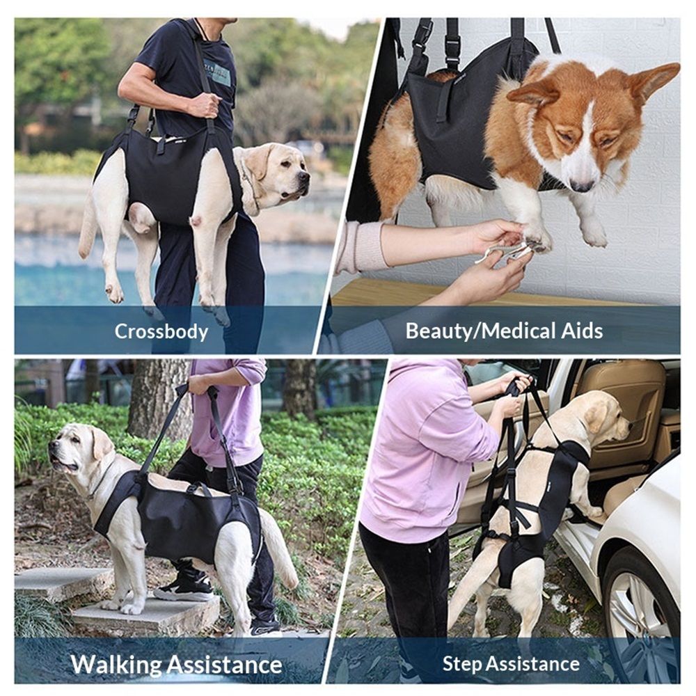 Full Body Lift Harness for Dogs,Canine Support Rehabilitation Dog Carrier Slings with Handles,Adjustable Lifting Straps Full Body Dog Lifting Harness (M) - Image 5