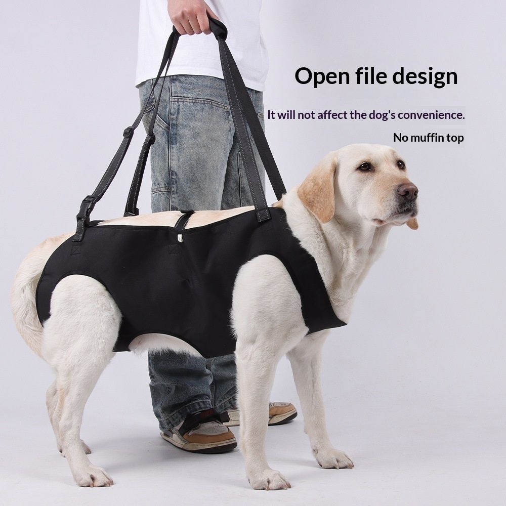 Dog Lift Harness, Emergency Backpack Pet Legs Support & Rehabilitation Sling Carrier, Adjustable Lifting Straps Carrier for Senior Elderly Dogs Joint Injuries Arthritis S - Image 3