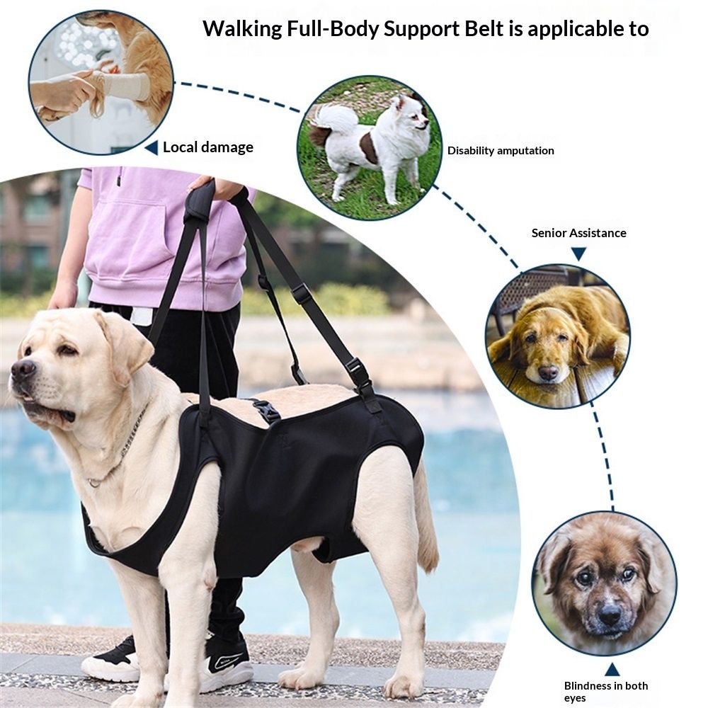 Dog Lift Harness, Emergency Backpack Pet Legs Support & Rehabilitation Sling Carrier, Adjustable Lifting Straps Carrier for Senior Elderly Dogs Joint Injuries Arthritis S - Image 5