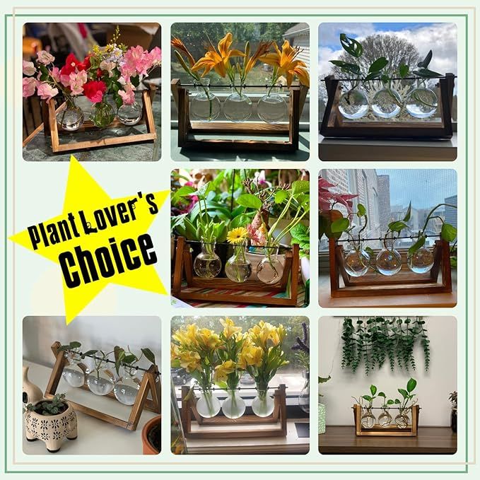 Plant Terrarium with Wooden Stand, Air Planter Bulb Glass Vase Metal Swivel Holder Retro Tabletop for Hydroponics Home Garden Office Decoration - 3 Bulb Vase - Image 4