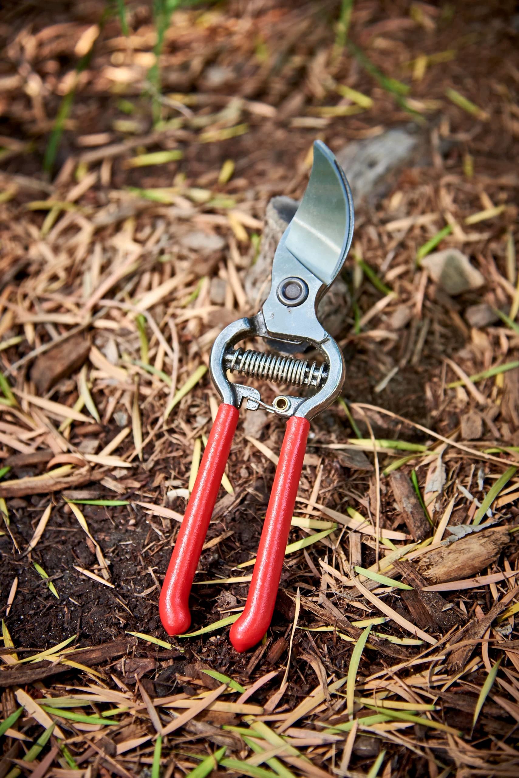 Forged Bypass Pruning Shears for Gardening | Cuts Branches and Stems up to 1/2-inch in Diameter 20cm in length，Red - Image 5